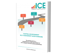 Control Environment self-assessment book cover